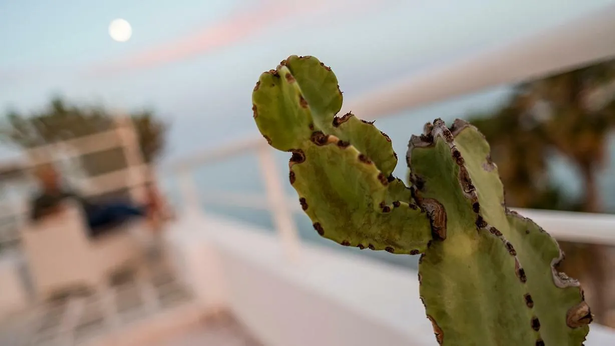 Apartmán Hotel Atico En Faro Roquetas de Mar